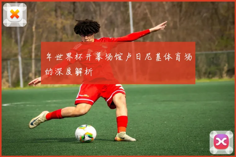 年世界杯开幕场馆卢日尼基体育场的深度解析