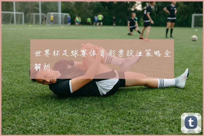 世界杯足球赛体育彩票投注策略全解析