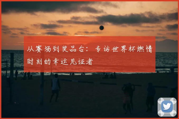 从赛场到奖品台：专访世界杯燃情时刻的幸运见证者