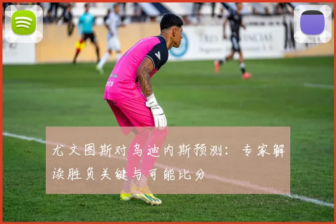 尤文图斯对乌迪内斯预测：专家解读胜负关键与可能比分