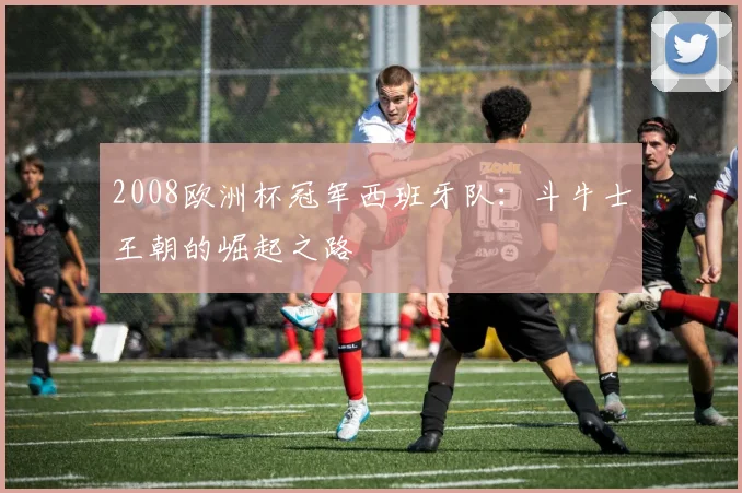 2008欧洲杯冠军西班牙队：斗牛士王朝的崛起之路